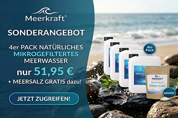 Angebot