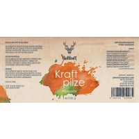 Heilkraft Kraftpilze Abwehr - Vitalpilz Synergetikum