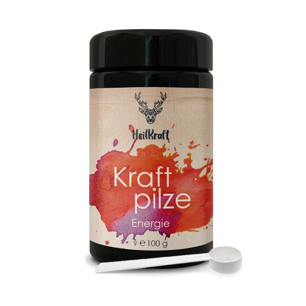 Heilkraft Kraftpilze Energie - Vitalpilz Synergetikum