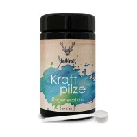 Heilkraft Kraftpilze Regeneration - Vitalpilz Synergetikum