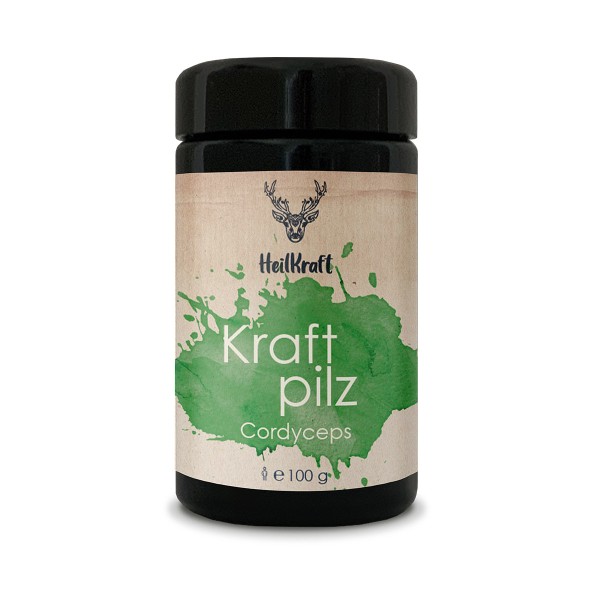 Heilkraft Kraftpilz Cordyceps - Vitalpilzpulver