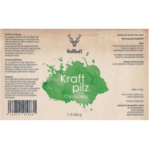 Heilkraft Kraftpilz Cordyceps - Vitalpilzpulver