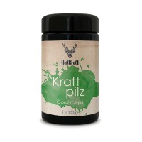Heilkraft Kraftpilz Cordyceps - Vitalpilzpulver