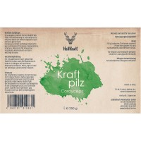 Heilkraft Kraftpilz Cordyceps - Vitalpilzpulver
