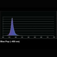 Euroquatics E5 Blue Pop 850mm