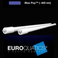 Euroquatics E5 Blue Pop 850mm