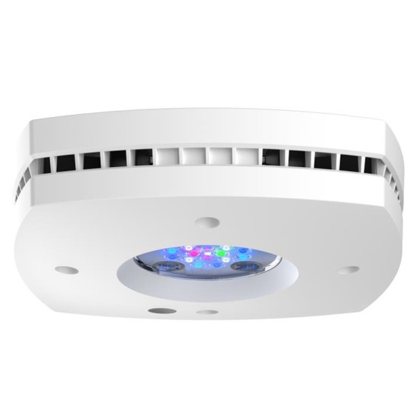 AI Prime 16HD Reef weiß