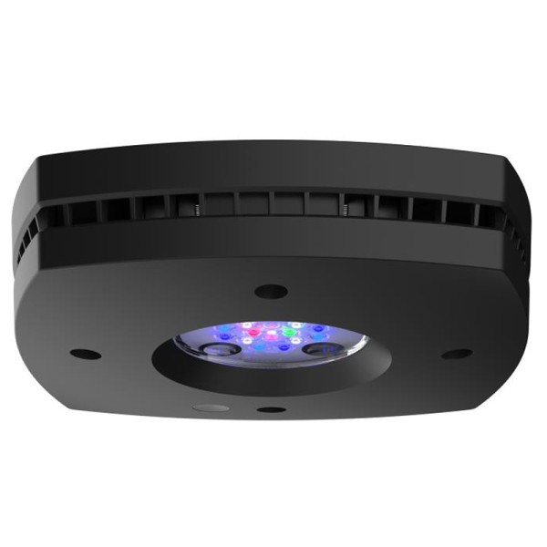 AI Prime 16HD Reef schwarz