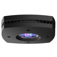 AI Prime 16HD Reef schwarz
