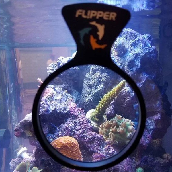 Flipper DeepSee Standard 10 cm
