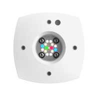 AI Prime 16HD Freshwater weiß
