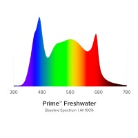 AI Prime 16HD Freshwater weiß