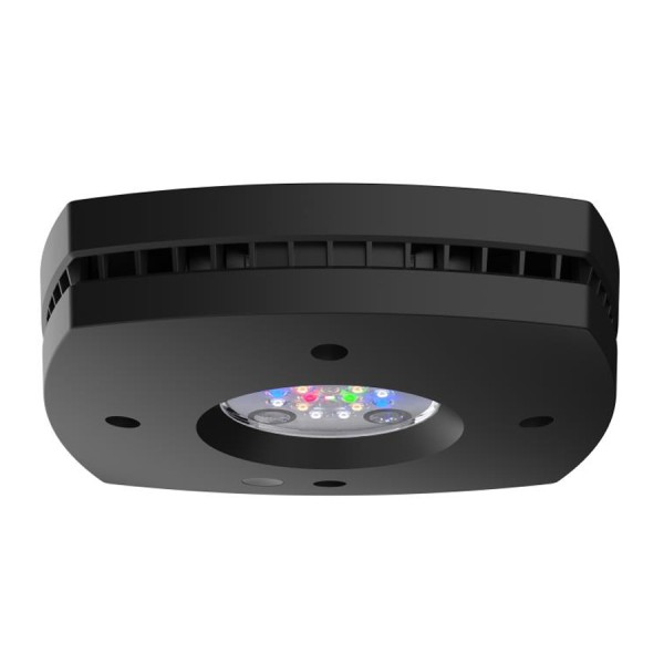 AI Prime 16HD Freshwater schwarz