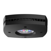 AI Prime 16HD Freshwater schwarz