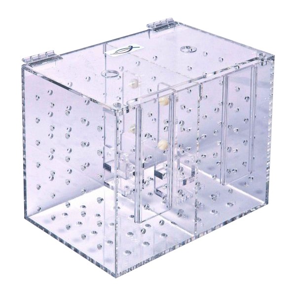 Aquarioom Doppel Eingewöhnungsbecken RF-2L