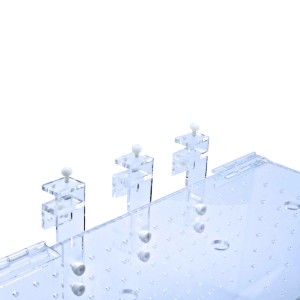 Aquarioom Doppel Eingewöhnungsbecken RF-2L