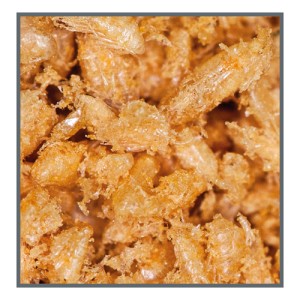 Dupla Marin Eeze Calanus finmarchicus 2-3 mm