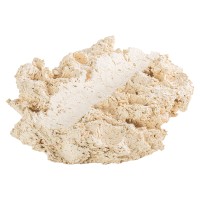 ARKA Muschelhalter