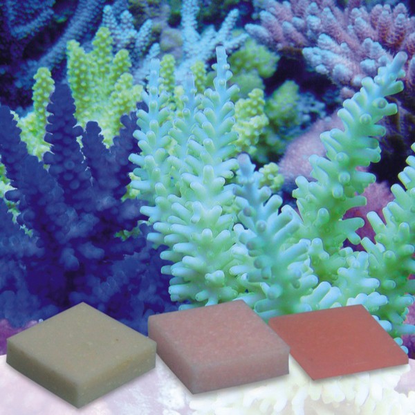 Korallenzucht Automatic Elements Eisen 10 Stck.