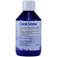 Korallenzucht Coral Snow