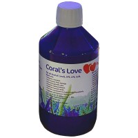 Korallenzucht Coral’s Love