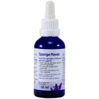 Sponge Power Concentrate