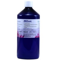 Korallenzucht ZEOlife