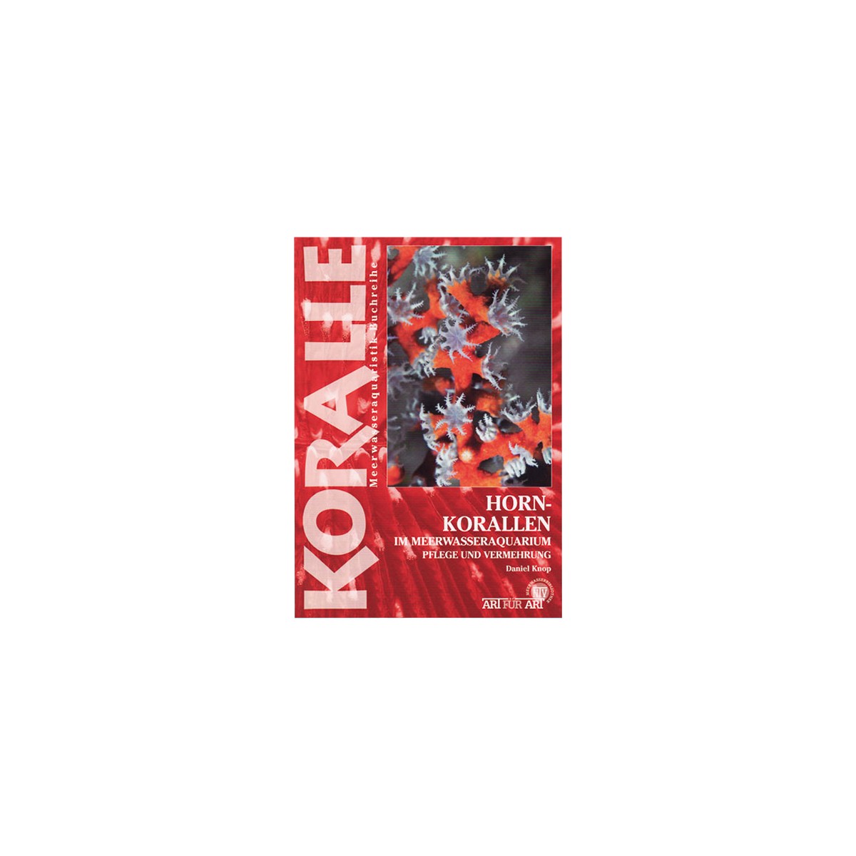 Hornkorallen im Meerwasseraquarium box